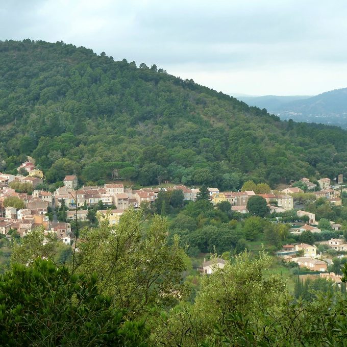 lesmayons